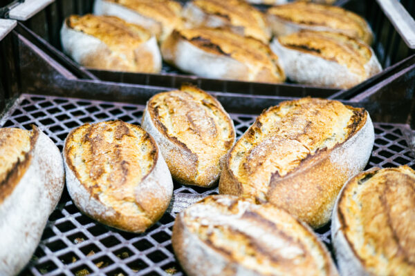 Classic Sourdough