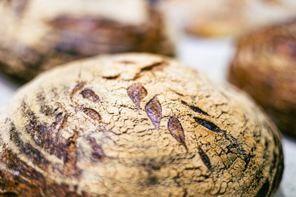 Country Sourdough